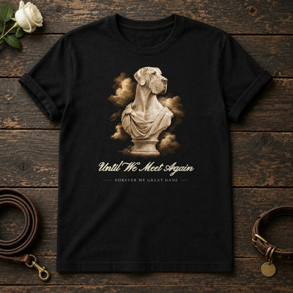 Until We Meet Again – Marble Great Dane Memorial Tee in Black